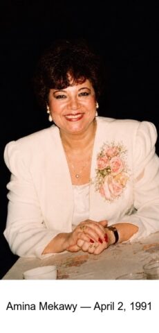 Amina Mekawy